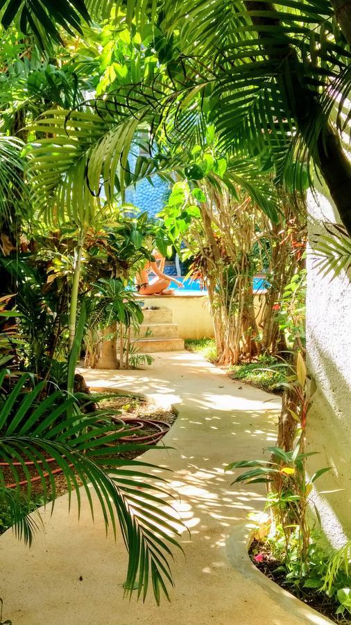 Maya Vacanze Playa Alegria Playa del Carmen Exterior photo